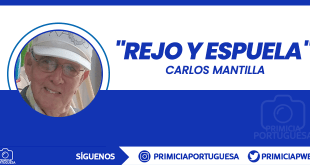 RELATOS DE LA GUERRILLA&nbsp;